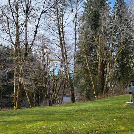 A Relaxing Getaway-A Backwoods Cabin Solduc River Beaver Eksteriør billede