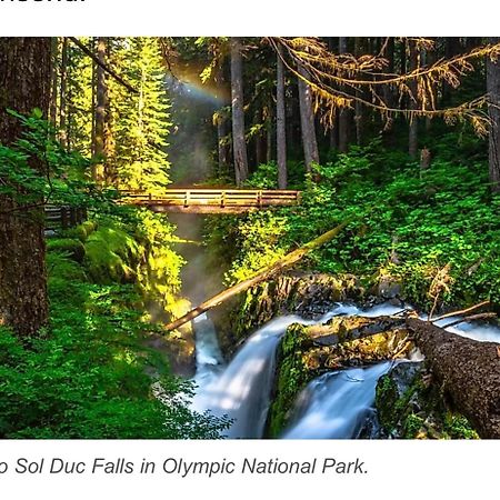 A Relaxing Getaway-A Backwoods Cabin Solduc River Beaver Eksteriør billede