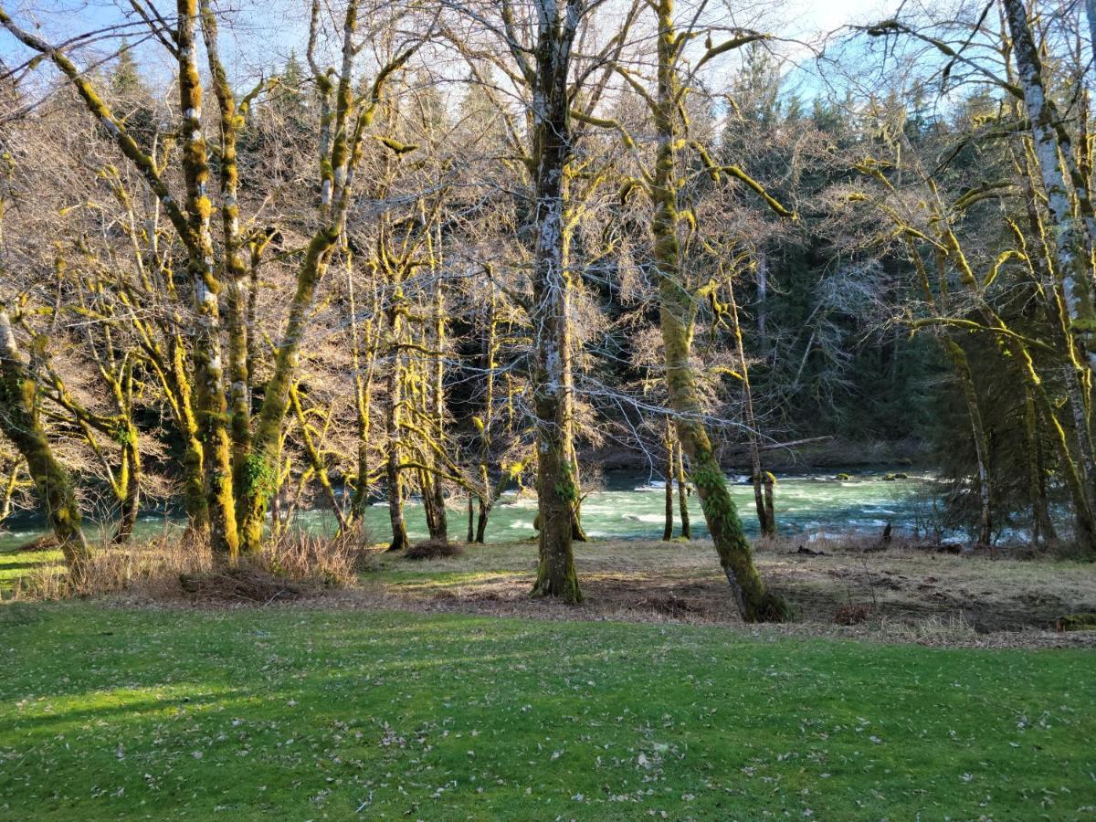 A Relaxing Getaway-A Backwoods Cabin Solduc River Beaver Eksteriør billede