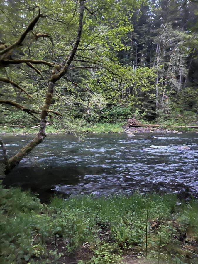 A Relaxing Getaway-A Backwoods Cabin Solduc River Beaver Eksteriør billede