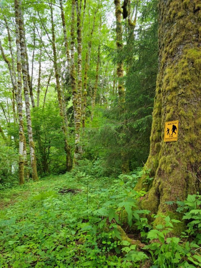 A Relaxing Getaway-A Backwoods Cabin Solduc River Beaver Eksteriør billede